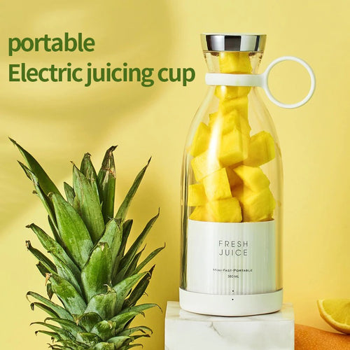 Heavy Duty Handhold Press Fruit Manual Juicer