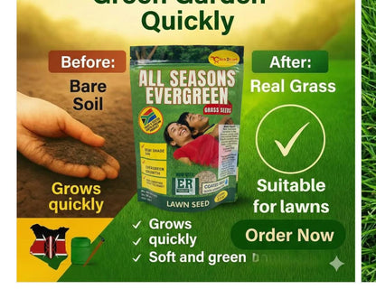 All Seasons Evergreen Grass Seeds 100g Each (Pack of 2)
