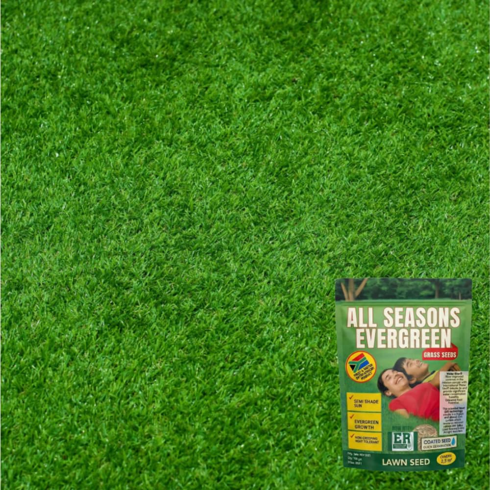 All Seasons Evergreen Grass Seeds 100g Each (Pack of 2)