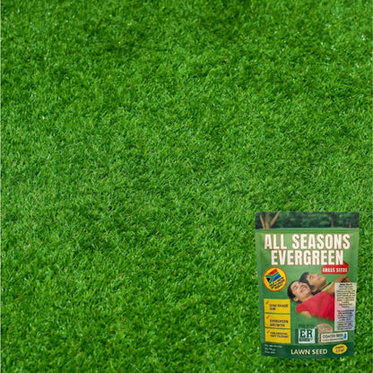 All Seasons Evergreen Grass Seeds 100g Each (Pack of 2)