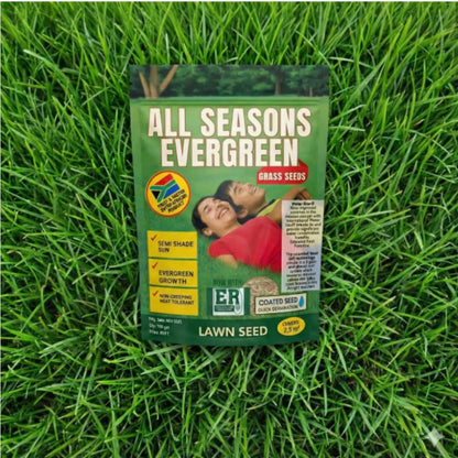 All Seasons Evergreen Grass Seeds 100g Each (Pack of 2)